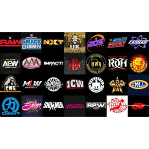 Wrestling-infos.de